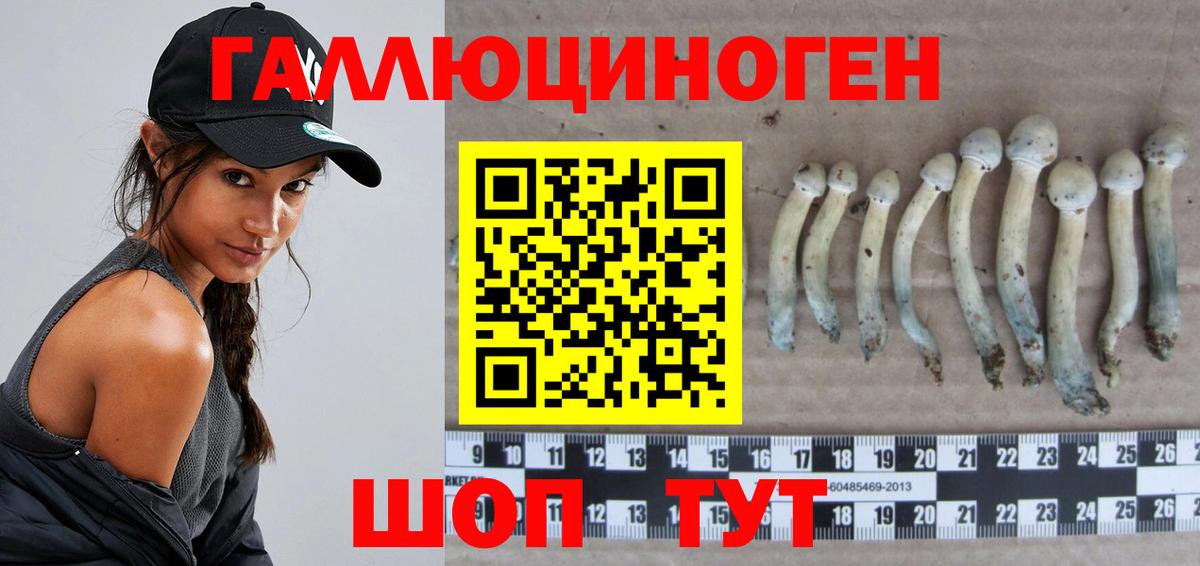Галлюциногенные грибы ЛСД Костомукша