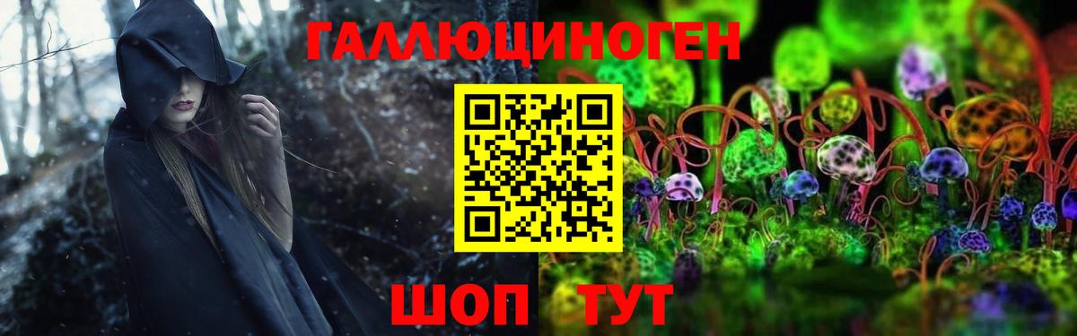 Псилоцибиновые грибы Psilocybine cubensis  Вход с VPN  Костомукша 